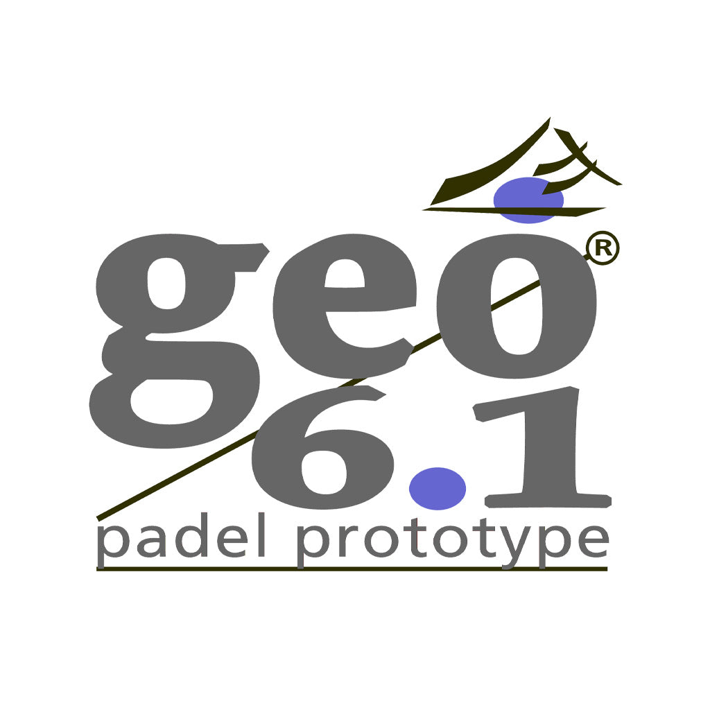Geo 6.1